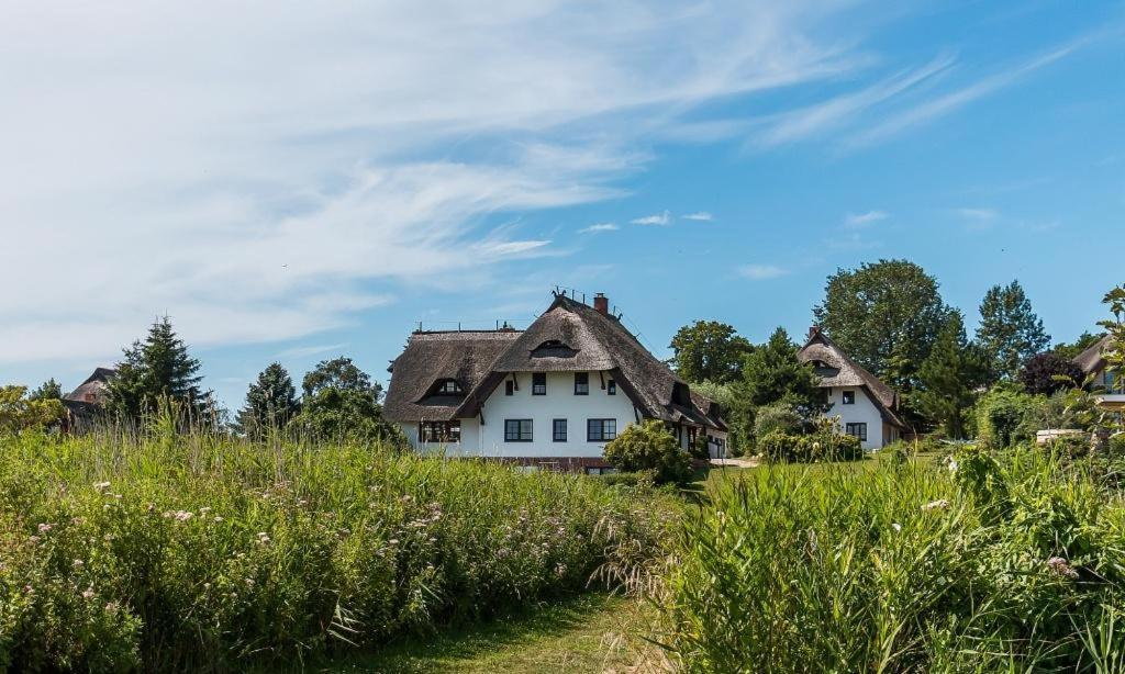 Haus Am Bodden 02 Apartment